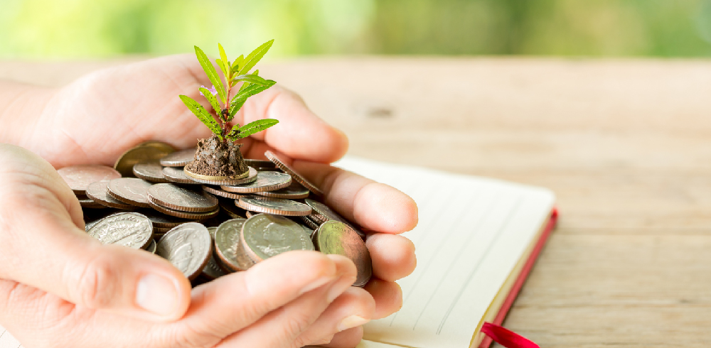 Beginners guide on getting an instant loan